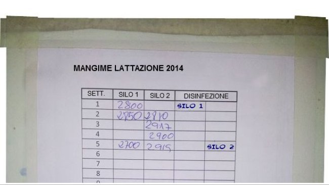 Scheda di controllo del mangime