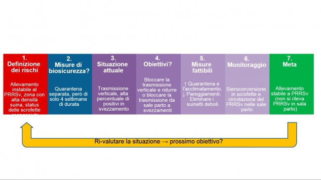 Biosicurezza nel controllo del PRRSv