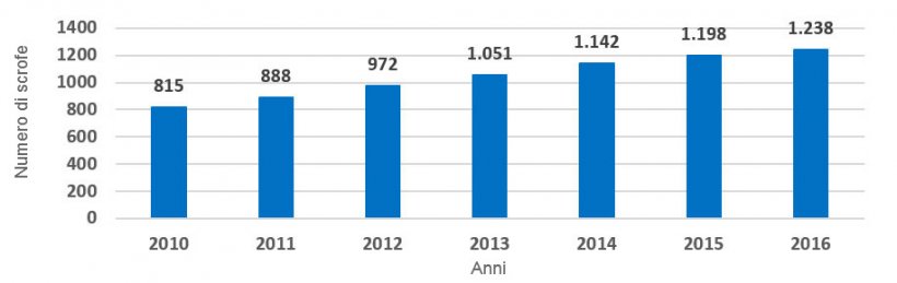 Grafico 1.- Evoluzione della dimensione media degli allevamenti. Numero di scrofe presenti per anno (periodo 2010 &ndash; 2016). L&#39;incremento &egrave; stato di 60 scrofe per anno.
