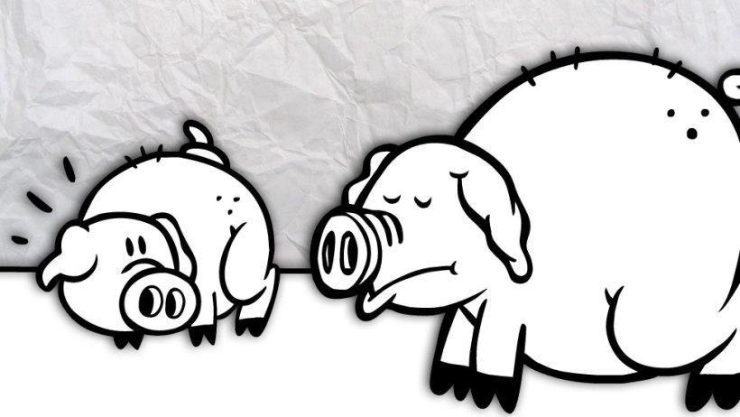 Morsicature delle code