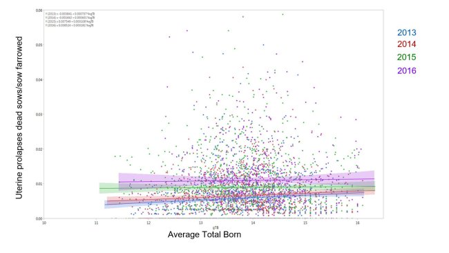Figura 1. Risultati del modello di % delle scrofe morte a causa dei prolassi uterini sul totale delle scrofe che hanno partorito per la media dei nati totali attraverso gli anni  (Media ± 95%CI) 2014, 2015, 2016, e 2017