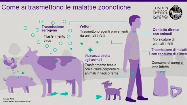 Figura 1. Vie di trasmissione di malattie zoonotiche. Le zoonosi sono malattie infettive che possono essere trasmesse dagli animali all'uomo, ma anche dall'uomo agli animali. Fonte: London School of Hygiene and Tropical Medicine.