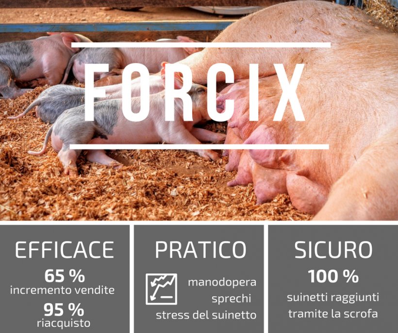 forcix