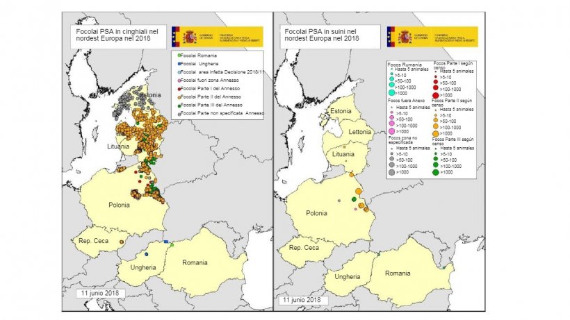 Mappa focolai dichiarati in Estonia, Ungheria, Lettonia, Lituania, Polonia, Rep. Ceca e Romania nel 2018 (fino al 11/06/2018) (Fonte RASVE-ADNS)

