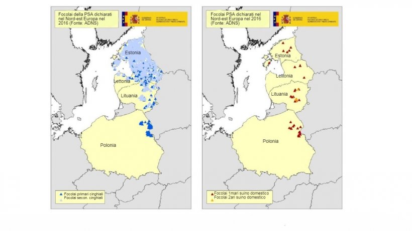 Mappe dei focolai dichiarati in Estonia, Lettonia, Lituania e Polonia nel 2016 (fonte RASVE-ADNS)

