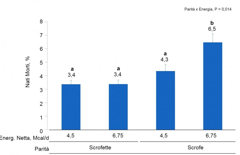 Figura 2. Effetti del consumo di diversi livelli di energia forniti dal giorno 90 al 111&deg; della gestazione sul tasso di nati morti di scrofette e scrofe. Le medie con un super-indice differente all&#39;interno del livello di parit&agrave; (N&deg; di parti) sono differenti&nbsp;(P &lt;0,05).
