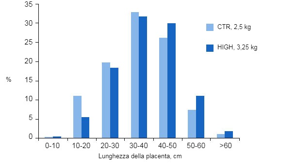 Grafico&nbsp;4. L&#39;aumento del piano alimentare nelle scrofe del gruppo alto&nbsp;(HIGH,H), migliora la dimensione della placenta nelle scrofe di primo parto rispetto a quelle del gruppo controllo&nbsp;(Control, CTR). (Hoving L. S., 2012).
