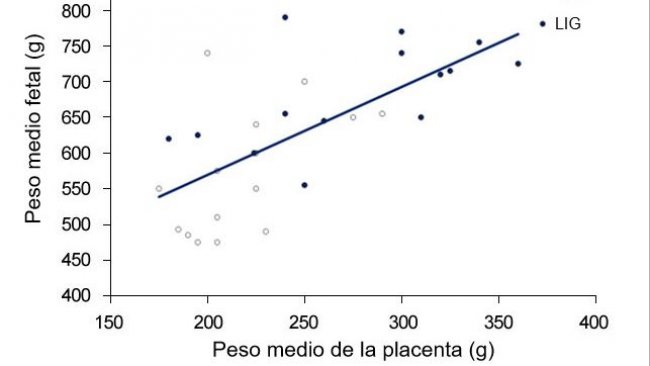 Grafico&nbsp;3. Sia nel gruppo controllo (CTR) sia nel gruppo legato&nbsp;(LIG), gruppo di scrofe il cui ovidotto fu legato, il peso dei feti fu correlato al peso della placenta. (Town, 2005).
