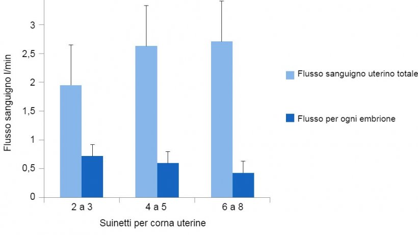 Grafico&nbsp;2. Il flusso sanguigno&nbsp;uterino totale si adatta al numero di embrioni, ma non &egrave; sufficiente per mantenere il flusso sanguigno&nbsp;per gli embrioni.&nbsp;(P&egrave;re, 2000).
