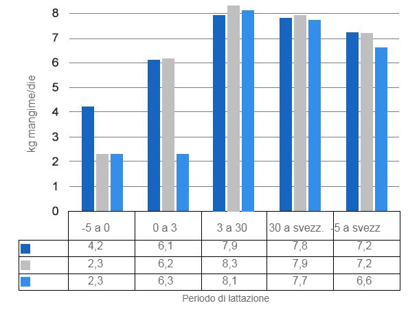 Grafico&nbsp;3. Consumo giornaliero di mangime quando le scrofe vengono alimentate a volont&agrave; a partire da 5 gg prima del parto (P -5d), del giorno del parto (P) o 3gg dopo (P + 3d).
