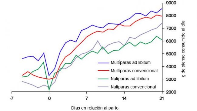 Grafico 6. Consumo di mangime in lattazione di scrofe alimentate ad libitum e/ o con un programma convenzionale nel periparto