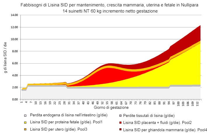 Grafico&nbsp;1. Partizione dei fabbisogni di lisina SID, modello basato su NRC 2012
