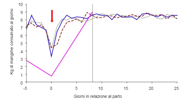 Grafico&nbsp;4: Schema alimentare delle scrofe in funzione della condizione corporale &nbsp;della scrofa il giorno 105 e del regime alimentare: ad libitum (verde, blu, rosso) o standard&nbsp;(rosa) &nbsp;(A. Cools, 2014)
