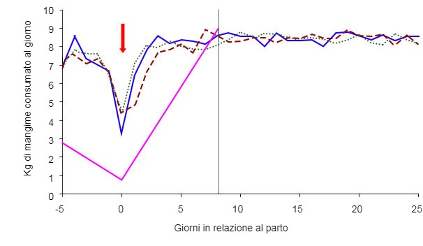 Grafico&nbsp;4: Schema alimentare delle scrofe in funzione della condizione corporale &nbsp;della scrofa il giorno 105 e del regime alimentare: ad libitum (verde, blu, rosso) o standard&nbsp;(rosa) &nbsp;(A. Cools, 2014)
