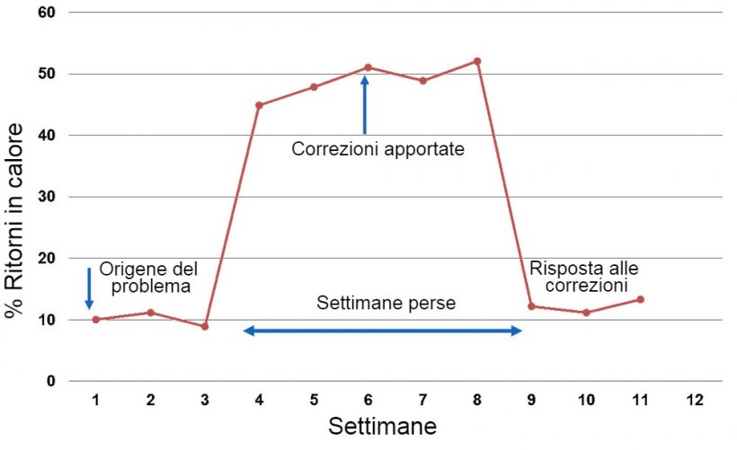 Grafico 1. Risposta riportata per settimana delle coperture
