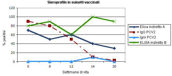 circovirus 4 2