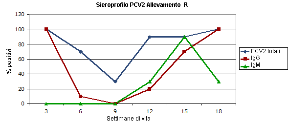 circovirus 4 3