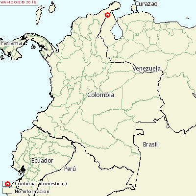 Afta epizootica in Colombia
