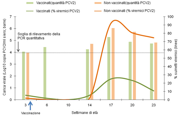 Comparativa de la dinámica del porcentaje de lechones virémicos y carga vírica media en los lechones virémicos