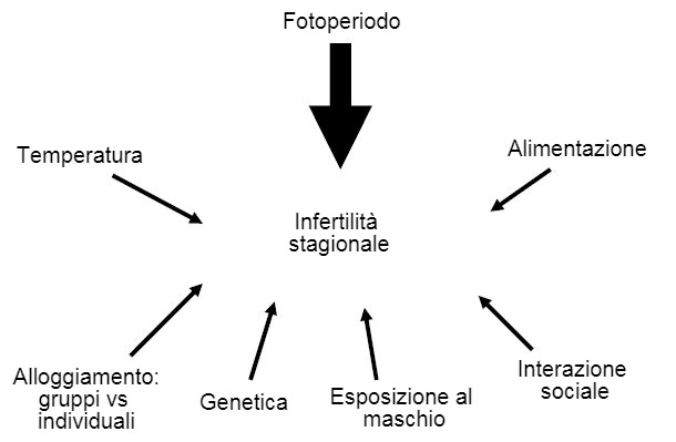 Figura 7. Fattori che influiscono sulla comparsa dell&#39;infertilit&agrave; stagionale
