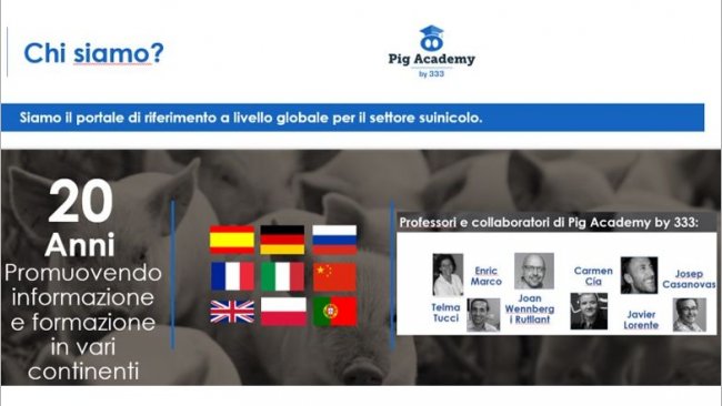 pig academy