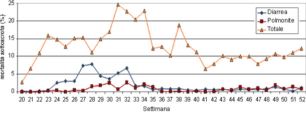 mortalità sottoscrofa