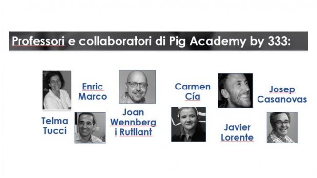 pig academy