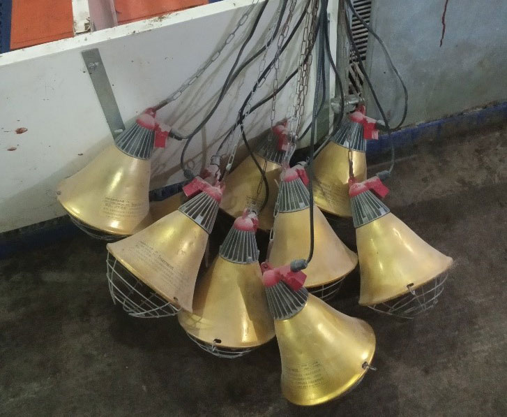 Foto 2: Lampade per sale parto stoccate in maniera sbagliata tra lotti, il che aumenta il rischio di danni alle lampade ad infrarossi ed ai fili elettrici (foto cortesia di&nbsp;DanAg International, China)
