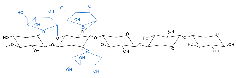 Figura 3. Struttura chimica degli arabinoxilani. Le ramificazioni&nbsp;di arabinosio e la loro distribuzione variano tra i cereali e tra le variet&agrave; dello stesso cereale.

