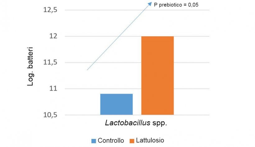 Possiamo utilizzare prebiotici specifici per aumentare le popolazioni microbiche che ci interessano. Ad esempio, il lattulosio aumenta i livelli di lactobacillus spp. Guerra et al. 2014.
