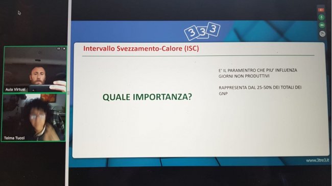 webinar