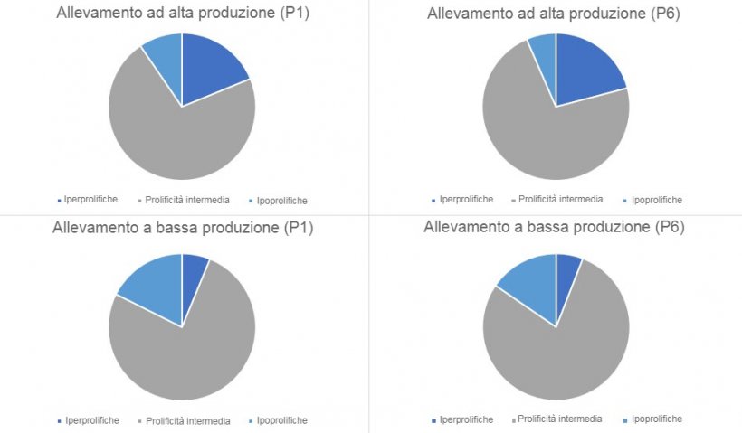 Grafico 1. Distribuzione del tipo di scrofe, in parto 1 e 6, categorizzate per i tipi di allevamenti rilevati
