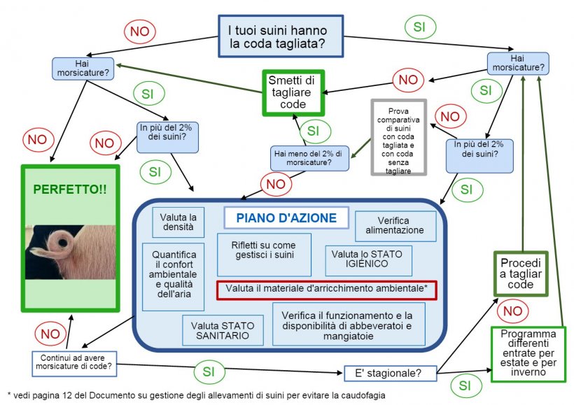 Albero della presa di decisioni sul taglio delle code elaborato da ANPROGAPOR
