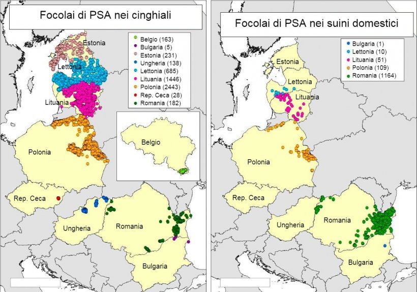 Mappa dei focolai dichiarati in Belgio, Bulgaria, Estonia, Ungheria, Lettonia, Lituania, Polonia, Rep. Ceca e Romania nel 2018 (Fonte RASVE-ADNS)
