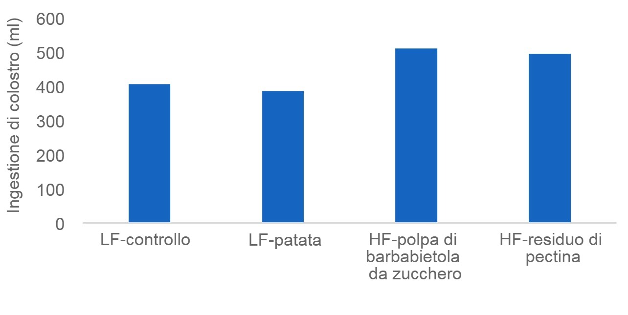 Unassunzione sufficiente di colostro è cruciale per i suinetti neonati per rimanere in vita ed alcune fonti di fibre