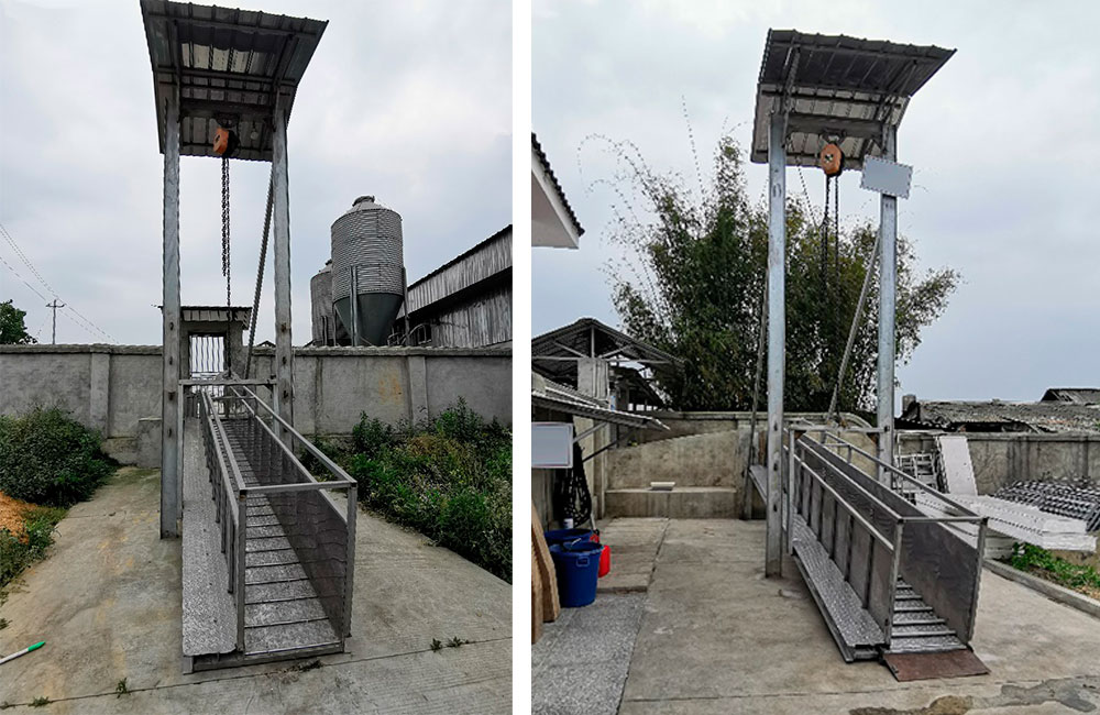 Rampa di carico in alluminio a ridosso dellallevamento