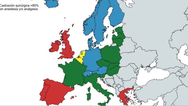 Fonte: Seconda relazione intermedia 2015 - 2017 sulla dichiarazione europea sulle alternative alla castrazione chirurgica dei suini