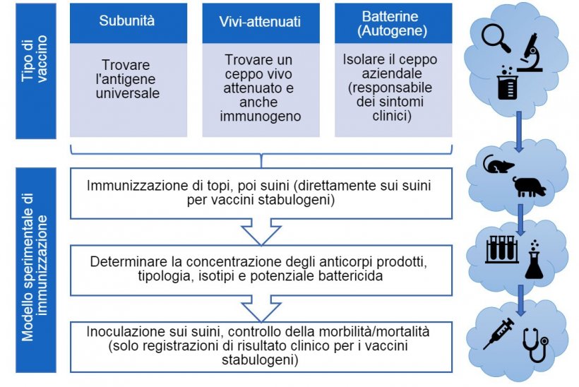 Figura 3. Gli steps dell&#39;efficacia dei vaccini sperimentali (per tipo di vaccino).

