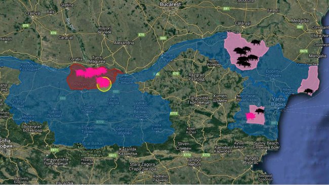 Focos de PPA en Bulgaria desde la primera aparición de la enfermedad en agosto de 2019. En doméstico (rosa) y jabalíes (negro).