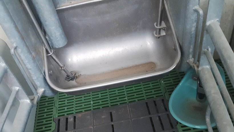 Foto 3. La maggior parte di questi sistemi scaricano i mangimi in piccole quantit&agrave;, per evitare spreco, un primo scarico di chiamata poi la scrofa chiama
