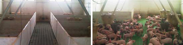 Salas diáfanas frente a convencionales 1