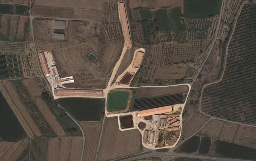 Immagine&nbsp;1. Vista aerea dei diversi capannoni-reparti che formano l&#39;allevamento

