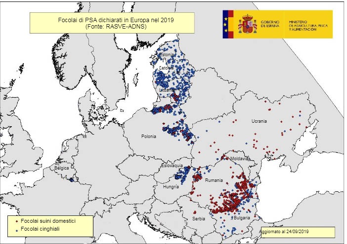 Mappa dei focolai di PSA nell\UE ed Ucraina nel 2019