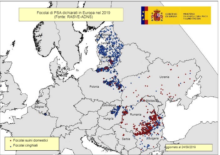 Mappa dei focolai di PSA nell&#39;UE ed Ucraina nel 2019
