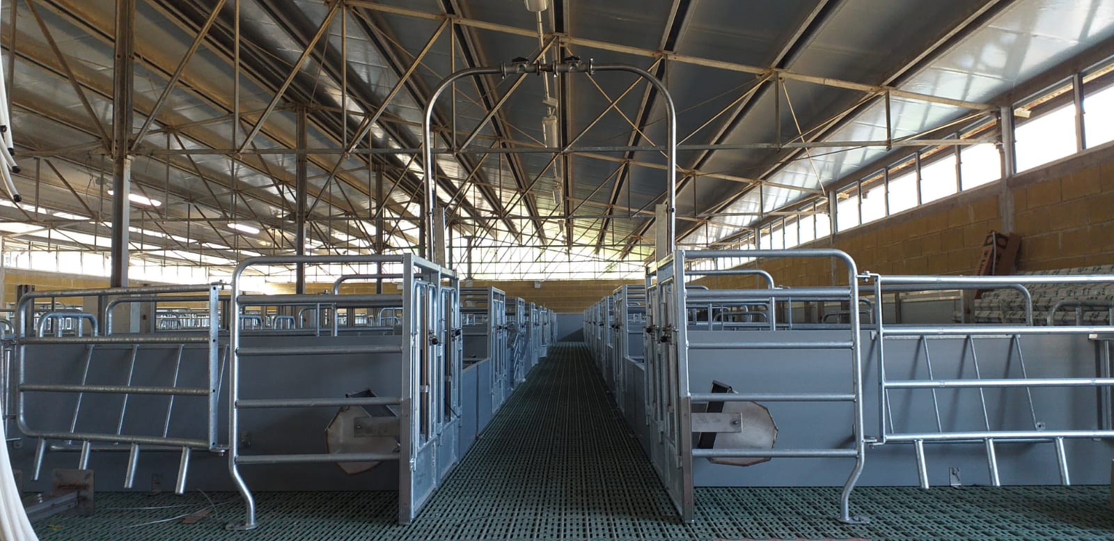 capannone parto libero