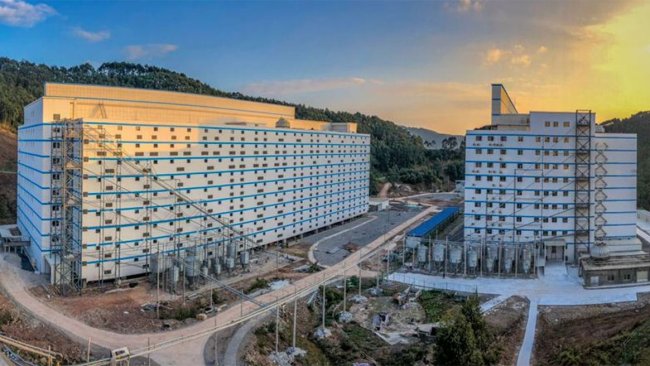 Foto 8: Distribuzione del mangime dalla base ad ognuno dei piani.