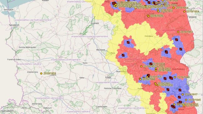 Casi di PSA nel 2019.