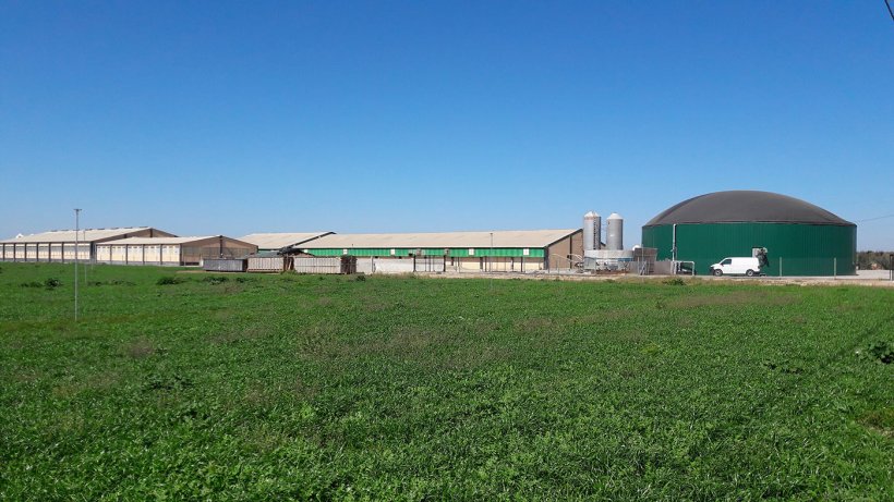 Figura 2: Allevamento di suini nella regione di Segri&aacute; (Lleida, Spagna), con produzione di biogas per autoconsumo di energia termica ed elettrica.
