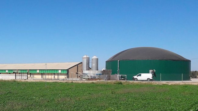 Figura 2: Allevamento di suini nella regione di Segriá (Lleida, Spagna), con produzione di biogas per autoconsumo di energia termica ed elettrica.