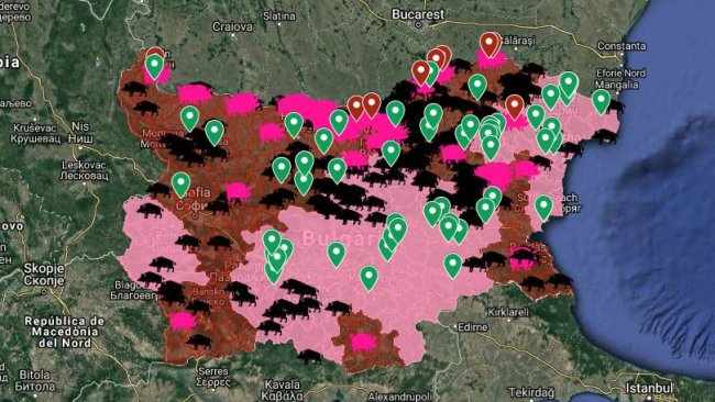 Focos de PPA en cerdos domésticos desde el inicio de la epidemia en agosto de 2018.